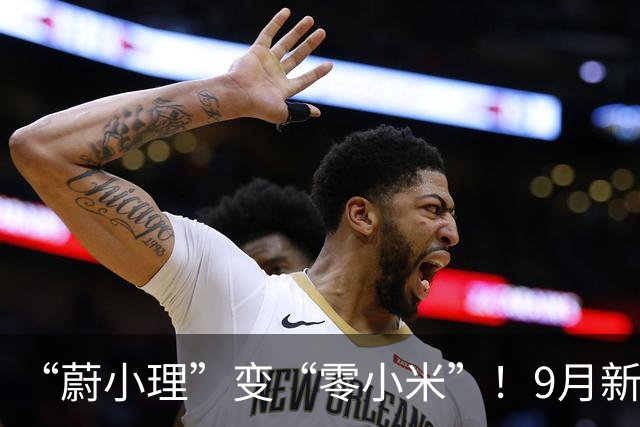 “蔚小理”变“零小米”！9月新势力大洗牌