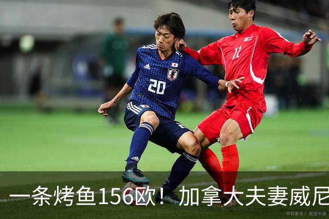 一条烤鱼156欧！加拿大夫妻威尼斯挨宰，老板却直呼“冤枉”