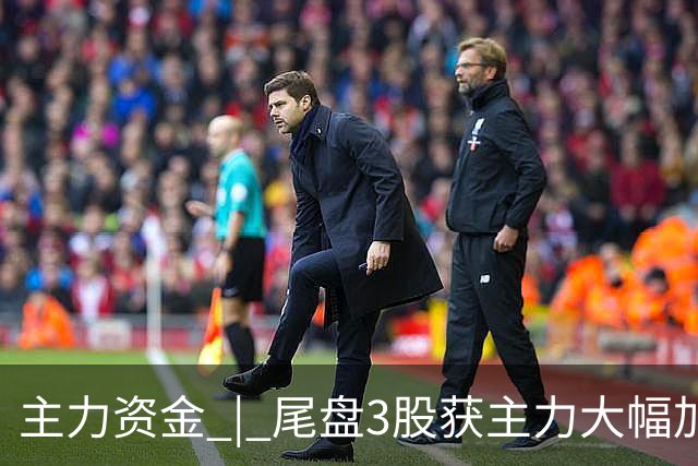 主力资金 | 尾盘3股获主力大幅加仓