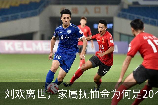 刘欢离世，家属抚恤金为何是20个月基本离退休费？