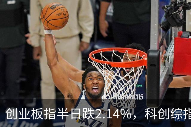 创业板指半日跌2.14%，科创综指跌3.71%，多只沪深300ETF集中放量