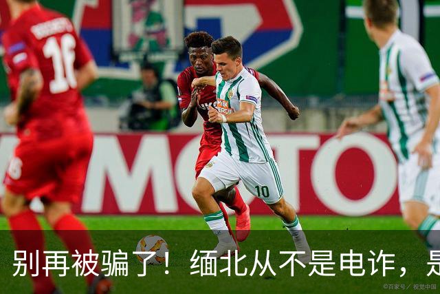 别再被骗了！缅北从不是电诈，是人间炼狱