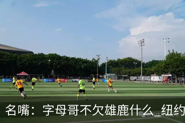 名嘴：字母哥不欠雄鹿什么 纽约现在渴望冠军