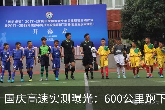国庆高速实测曝光：600公里跑下来，电车车主集体沉默了
