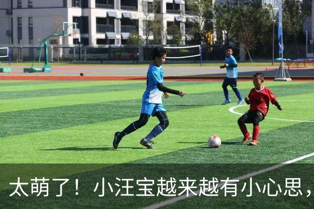 太萌了！小汪宝越来越有小心思，挑食耍脾气还会怕孤单