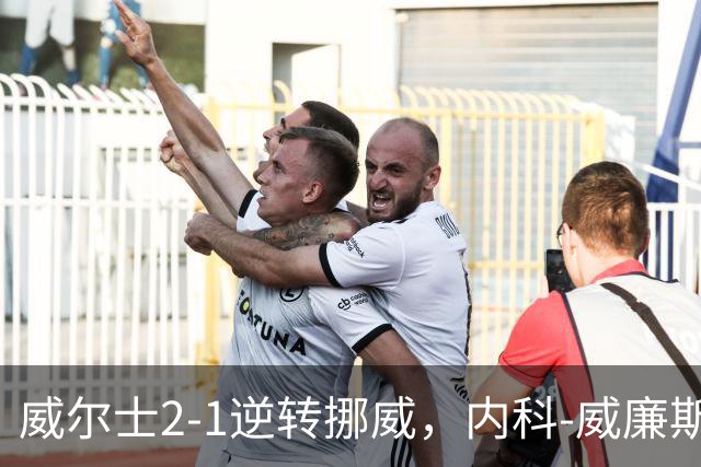 威尔士2-1逆转挪威，内科-威廉斯建功，丹尼尔-詹姆斯破门