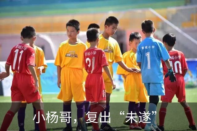 小杨哥，复出“未遂”