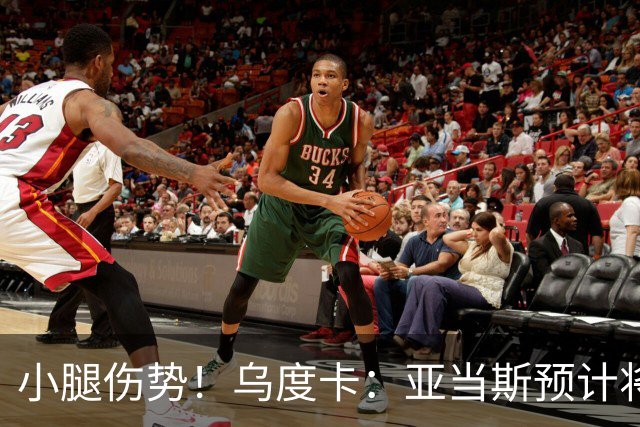 小腿伤势！乌度卡：亚当斯预计将缺席1-2周的时间