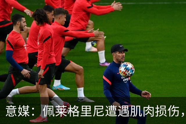 意媒：佩莱格里尼遭遇肌肉损伤，明日接受仪器检查评估伤情