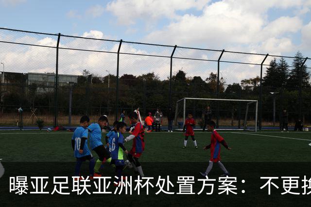 曝亚足联亚洲杯处置方案：不更换举办地 11月敲定是否延期