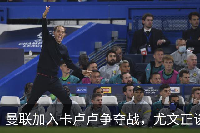 曼联加入卡卢卢争夺战，尤文正谈续约