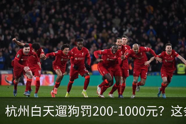 杭州白天遛狗罚200-1000元？这条规定 把养狗人和不养狗人都吵翻了