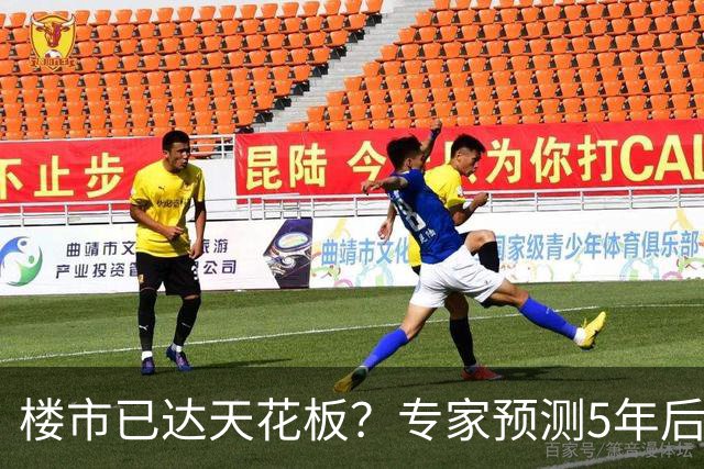 楼市已达天花板？专家预测5年后房价：大城市20000、小城市3000