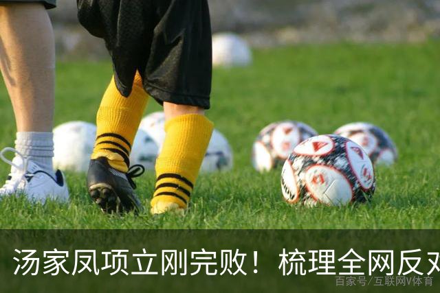 汤家凤项立刚完败！梳理全网反对英语主科的理由，全都没有说服力