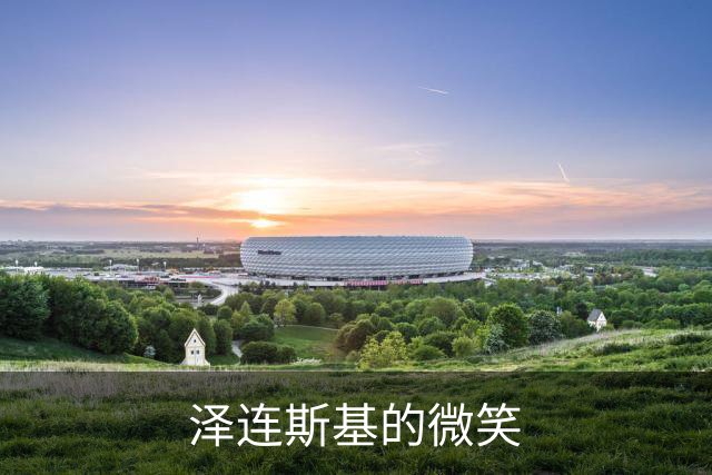 泽连斯基的微笑