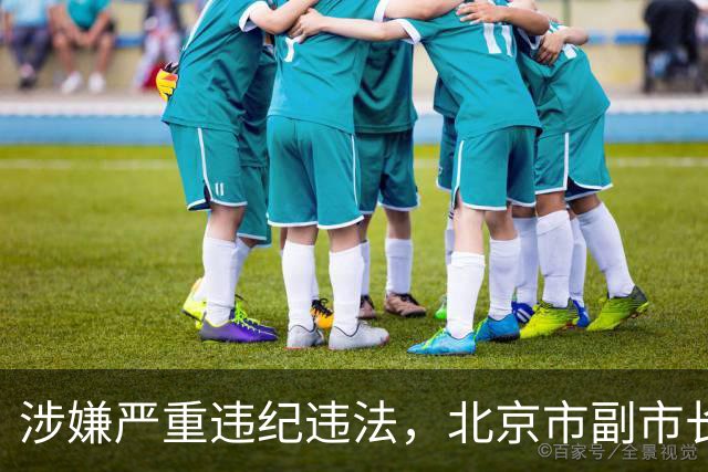 涉嫌严重违纪违法，北京市副市长夏林茂被查；曾任密云区委书记、东城区委书记等职
