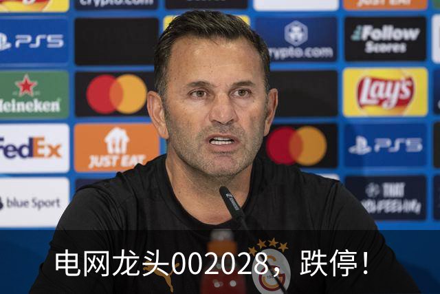电网龙头002028，跌停！