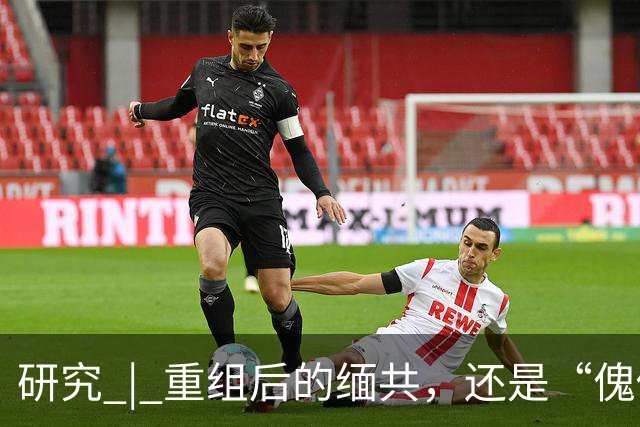 研究 | 重组后的缅共，还是“傀儡”“红色军阀”吗？
