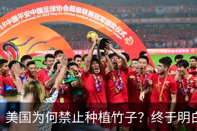 美国为何禁止种植竹子？终于明白，原来竹子比我们想象的更可怕