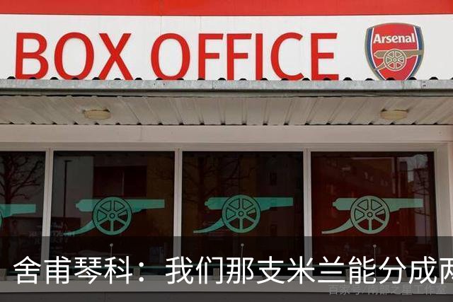 舍甫琴科：我们那支米兰能分成两队去踢决赛，执教那支球队很容易