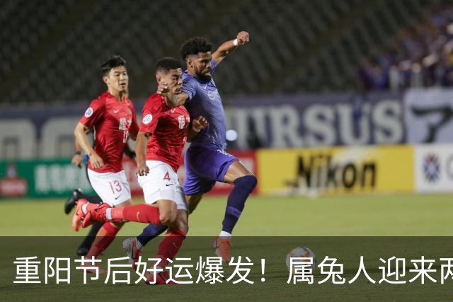 重阳节后好运爆发！属兔人迎来两大喜事，别错过