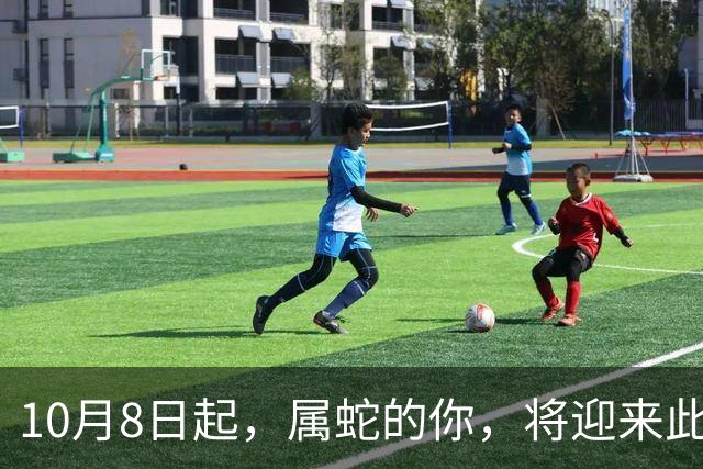 10月8日起，属蛇的你，将迎来此生最盛大的喜事。