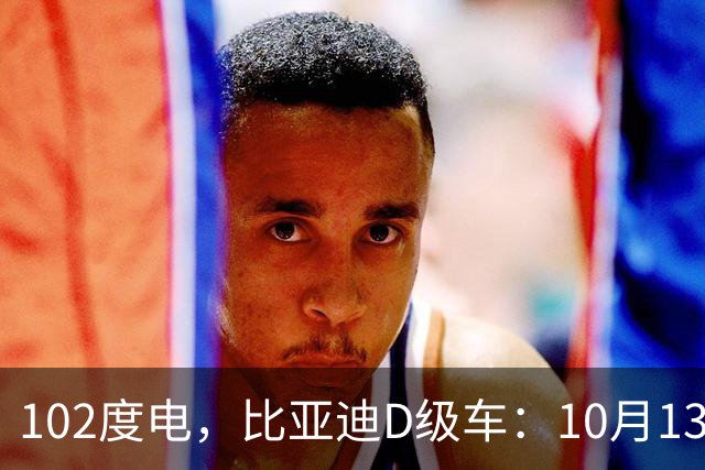 102度电，比亚迪D级车：10月13日见！