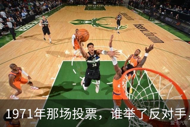 1971年那场投票，谁举了反对手，后来肠子都悔青了