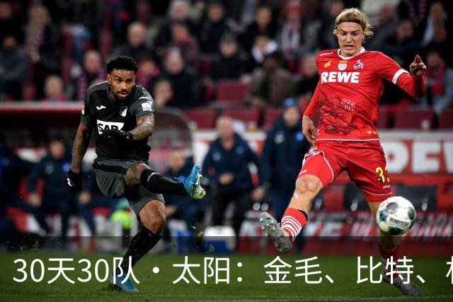 30天30队·太阳：金毛、比特、杜宾和二哈