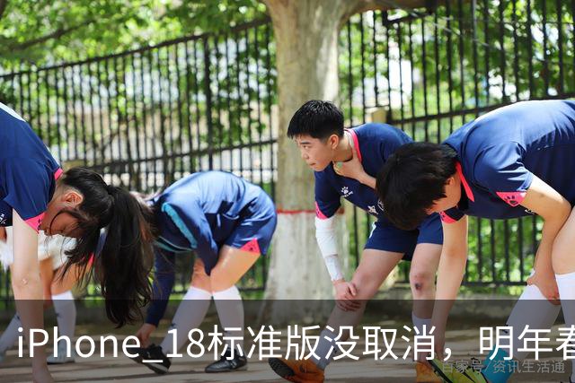iPhone 18标准版没取消，明年春天才来：几处升级和一个让步先知道